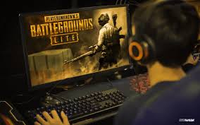 PUBG Lite PC: Released globally? 1