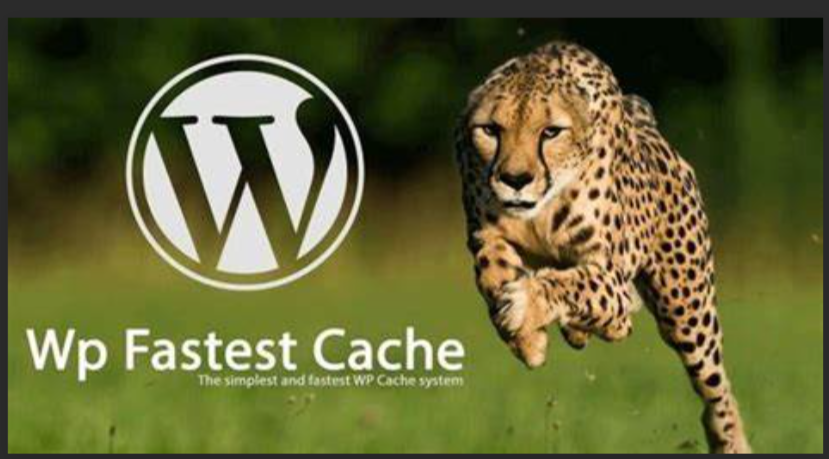 Top 5 WordPress Plugins to Speed Up Websites in 2025 5